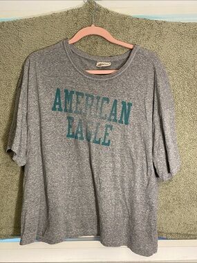 American Eagle Outfitters Heather Gray Tee with Teal Graphic